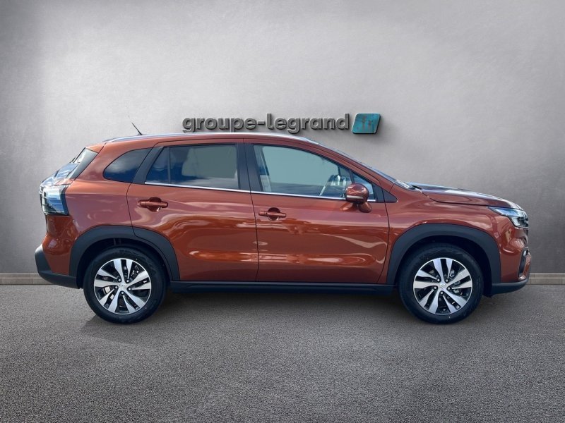 suzuki - Visuel 3