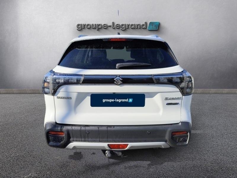 suzuki - Visuel 4