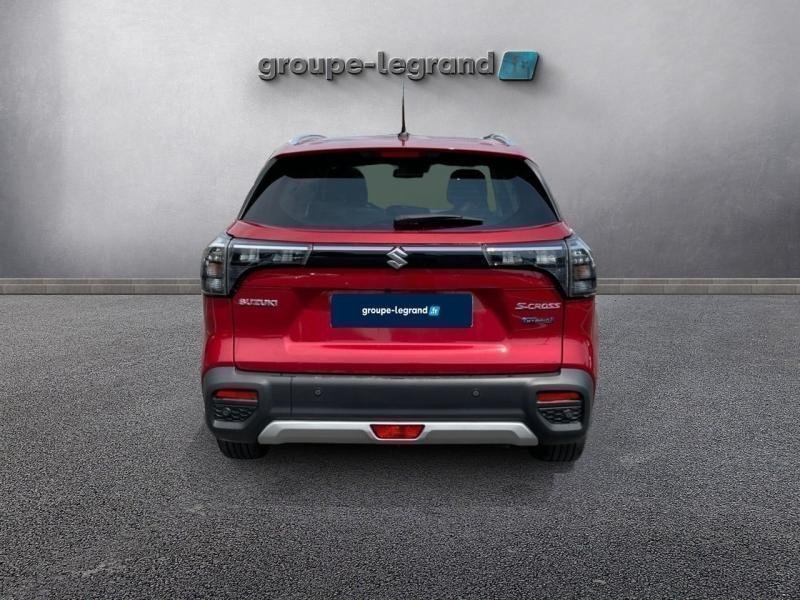 suzuki - Visuel 4