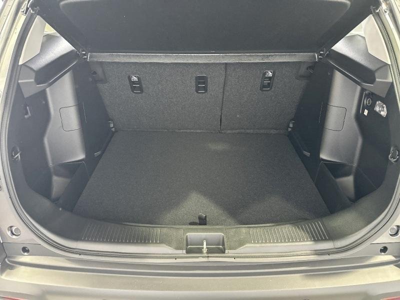 suzuki - Visuel 6