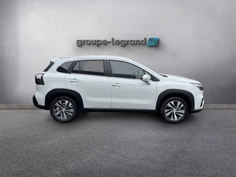 suzuki - Visuel 3