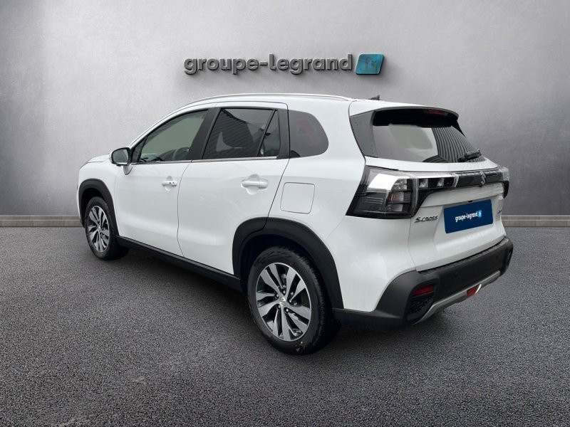 suzuki - Visuel 5