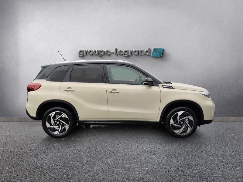 suzuki - Visuel 3
