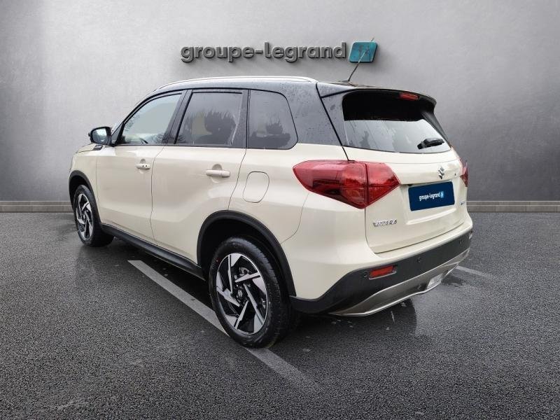 suzuki - Visuel 5