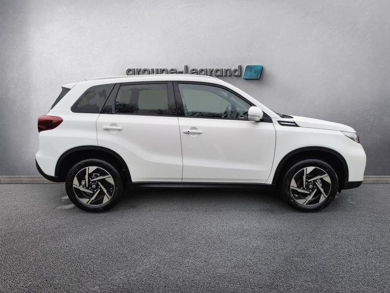 suzuki - Visuel 3