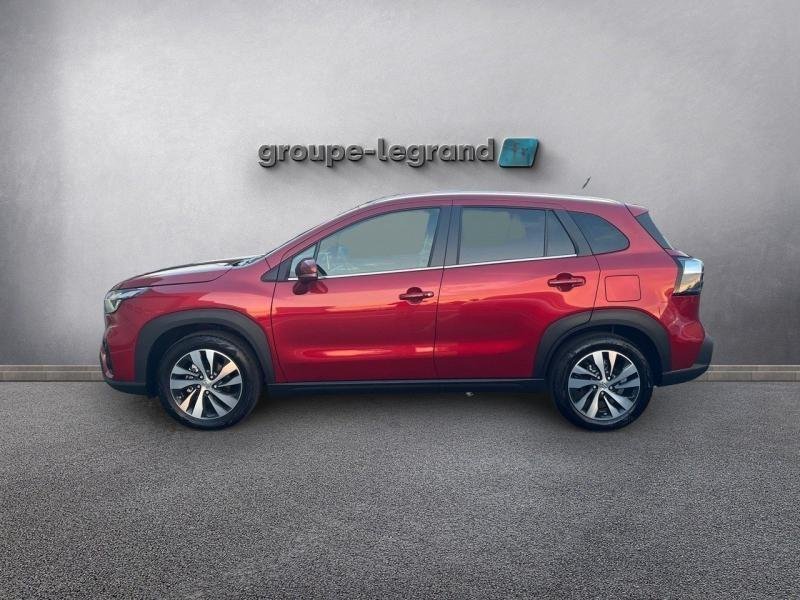 suzuki - Visuel 3