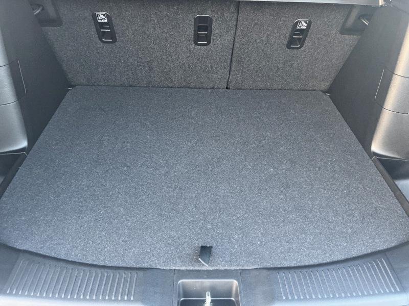 suzuki - Visuel 19