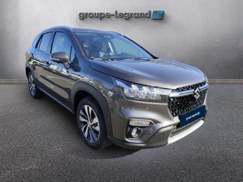 suzuki - Visuel 2