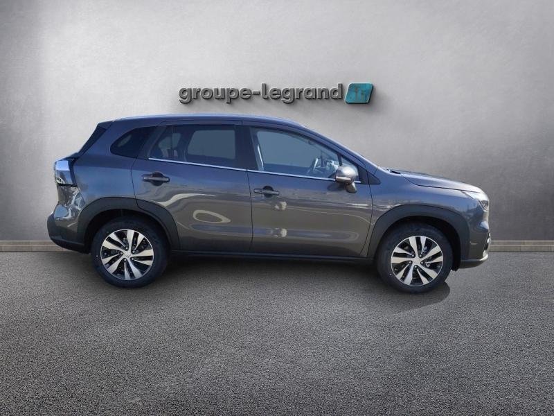 suzuki - Visuel 3