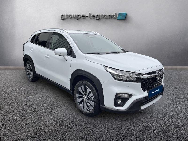 suzuki - Visuel 2
