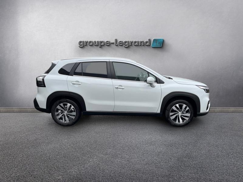 suzuki - Visuel 3