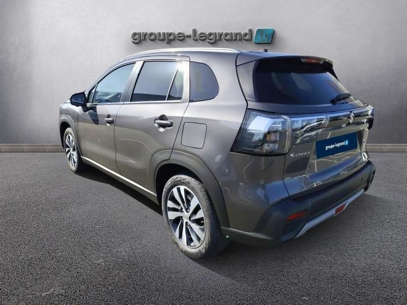 suzuki - Visuel 4