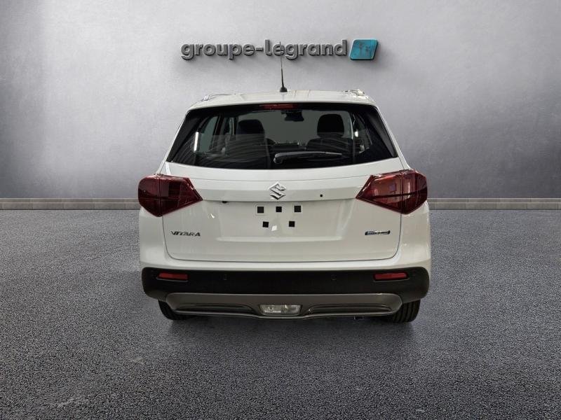 suzuki - Visuel 4